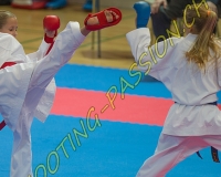 KARATE - 0310